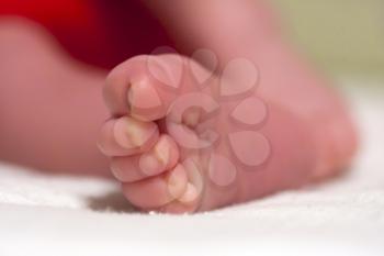 Close-up of sweet sleeping newborn baby feet
