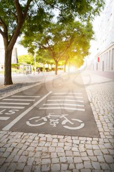 Track for cyclists in the park at sunset