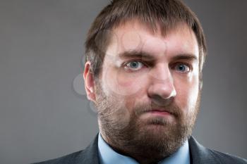 Serious male bearded face close up portrait over gray background