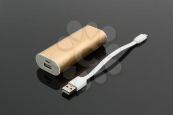 Power bank and a short cable
