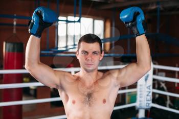 Boxer with an angry face has raised a hands up. Fighting ring on the background. Boxing power. Blue boxing gloves.