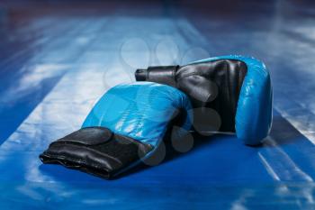 Boxing gloves on the floor of the ring. Blue floor of the ring on the background. Boxing theme. Sport accessories.