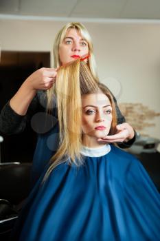 Professional hairdresser making hairstyle with hairbrush in hand to young female in hairdressing salon.