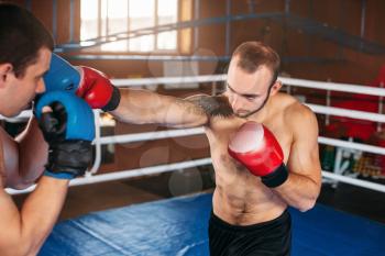 Boxer sents his opponent to the knockout. Fighting ring on the background. Box sport.