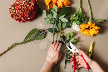 Florist hands cutting rose with garden scissors. Florist creating decorative flower bouquet.