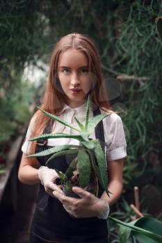 Young female gardener holding succulent plant in hands.