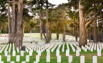 Gravestones on usa national cemetery. Green forest on the background.