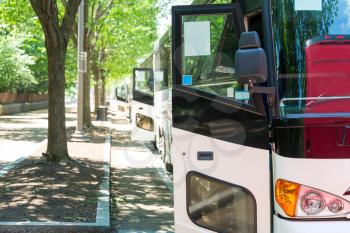 Tourist bus row with opened door against green tree alley.