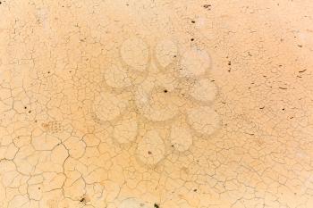 Cracked dry soil. Dry earth background