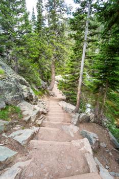 Stone stairway in mountain forest. Tourist routes landscape.
