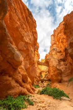 Bottom view from canyon of rocky mountains at Bryce Canyon National Park, Utah USA