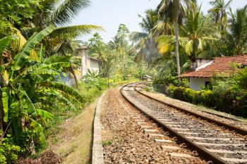 Palm forest across railway road on Sri Lanka, old village on background. Ceylon tropical landscape