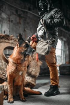 Stalker in gas mask and dog in ruins, survivors in danger zone after nuclear war. Post apocalyptic world. Post-apocalypse lifestyle, doomsday, judgment day