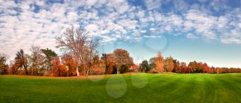 Green meadow in autumn park, trees with colorful foliage, panorama. Forest with red leaves, nature landscape in sunny day, panoramic view