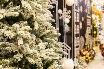 Christmas decoration shop, fir tree closeup, new year. Winter holiday celebration
