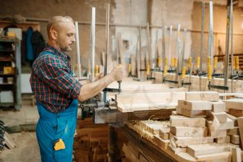 Carpenter in uniform clamps the board in a vise, woodworking, lumber industry, carpentry. Wood processing on furniture factory, production of products of natural materials