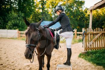 Female jockey and brown stallion, horseback riding. Equestrian sport, young woman and beautiful horse