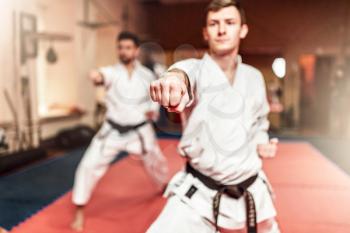 Martial arts karate fighters in white kimono and black belts on workout in gym