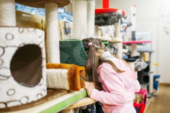 Little girl chooses supplies for cat in petshop. Family buying accessories for kitten in pet shop
