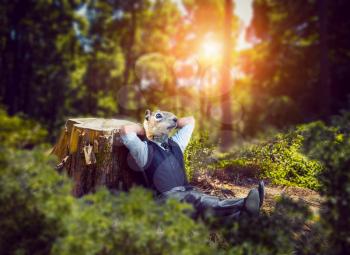 Businessman with rodent head sitting in the forest. Business risk, man relax after work as a squirrel in a wheel