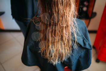 Female customer with wet hair in hairdressing salon, back view. Hairstyle making in beauty studio