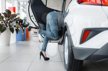 Attractive woman's ass sticking out of new car in showroom. Female customers choosing vehicle in dealership, automobile sale, auto purchase