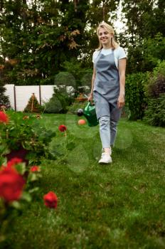 Woman in apron and gloves holds watering can in the garden. Female gardener takes care of plants outdoor, gardening hobby, florist lifestyle