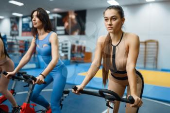 Group of women doing exercise on a stationary bikes in gym, bottom view. People on fitness workout in sport club, athletic girls in sportswear on training indoors