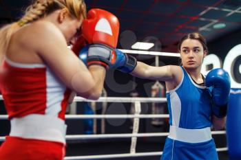 Women in gloves boxing on the ring, box workout. Female boxers in gym, kickboxing sparring partners in sport club, punches practice