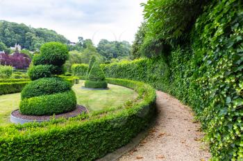 Figures in shape of swirl and cone from the bushes, summer park in Europe. Professional gardening, european green landscape, garden plants decoration