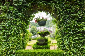 Bushes clipped in different forms, summer park in Europe. Professional gardening, european green landscape, garden plants decoration