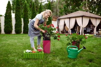 Smiling woman in apron works with flowers in the garden. Female gardener takes care of plants outdoor, gardening hobby, florist lifestyle and leisure
