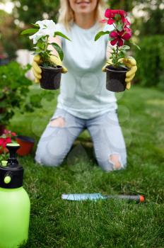 Woman shows two flowers in pots in the garden. Female gardener takes care of plants outdoor, gardening hobby, florist lifestyle and leisure