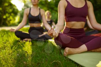 Peaceful women relax, group yoga training on the grass in park. Meditation, class on workout outdoors, relaxation practice