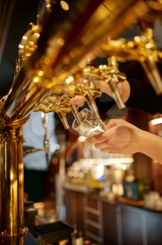 Bartender pours fresh beer into a glass. Friends leisures at the counter in bar, nightlife. Group of people relax in pub, night lifestyle, friendship, event celebration