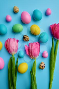 Colorful easter eggs and tulips on blue background, top view. Paschal food, event decoration, spring holiday celebration, traditional symbol