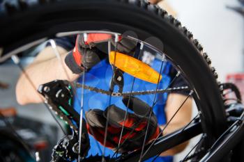 Bicycle repair workshop, man checks chain slack. Mechanic in uniform fix problems with cycle, professional bike repairing service