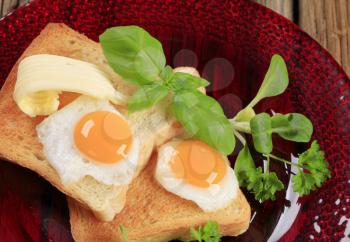 Fried eggs on slices of toasted bread