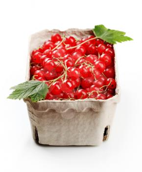 Freshly picked red currants in a paper container