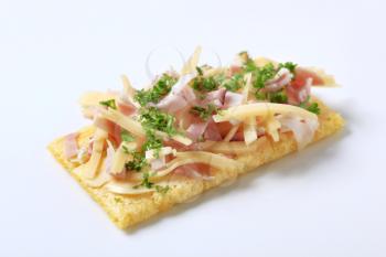 Crispbread with ham and cheese topping - studio