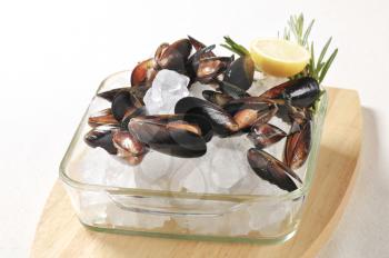 Raw mussels and lemon on ice