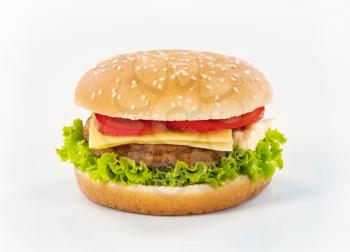 Studio shot of a hamburger - closeup