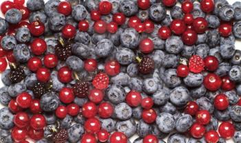 Mix of berry fruits - full frame