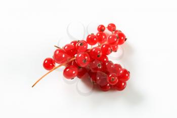 Fresh red currant berries - studio