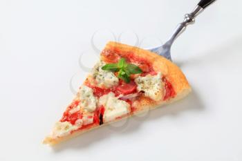 Slice of pizza on a slice server