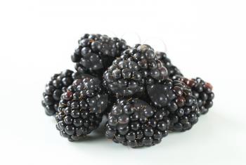 Studio shot of fresh blackberries