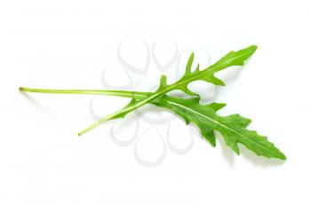 Two rocket leaves on white background