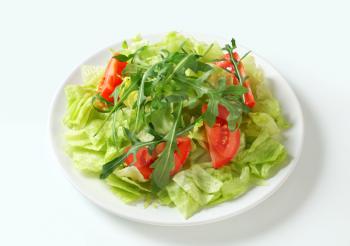 Ice lettuce leaves with tomato wedges and arugula