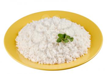 Plateful of Boiled Rice 
