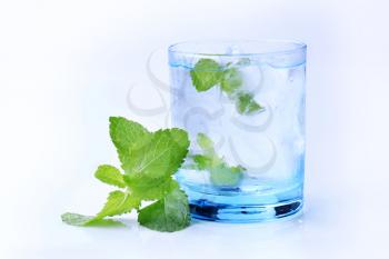 Glass of iced drink with fresh mint